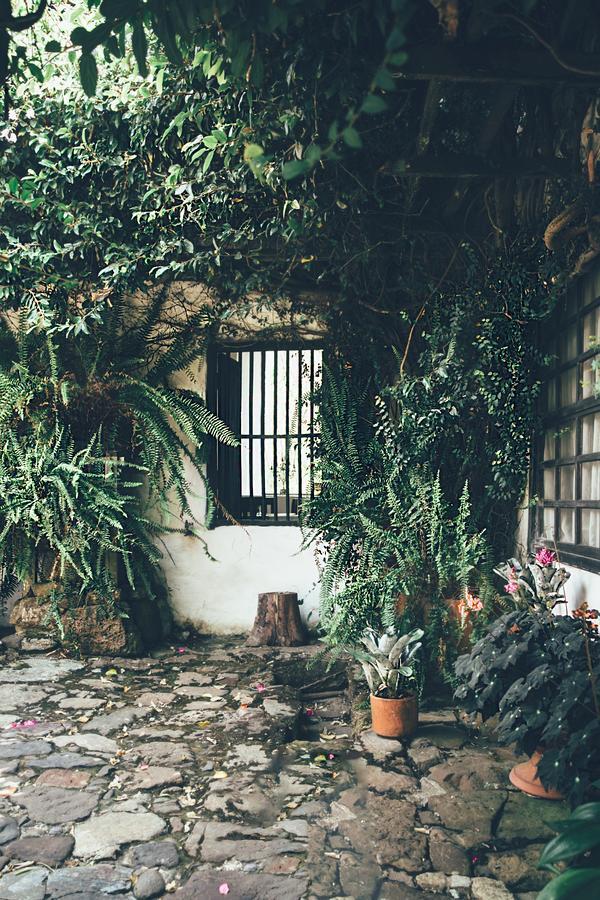 Hotel Hacienda Baza Tibana Ngoại thất bức ảnh